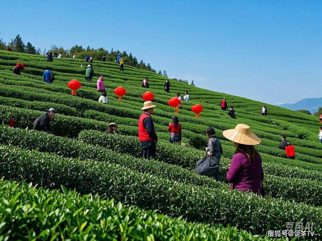 AI说茶 分段式过年火了茶叶如何在春节假期出圈？(图1)