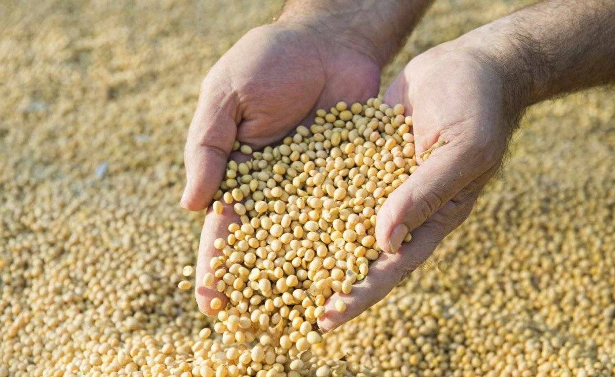 轮到中方出手反制了！一周撤销68000吨订单？我国正式下达逐客令