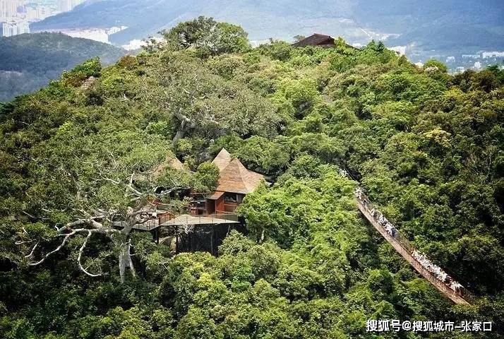 一竞技登录结伴三亚旅游五天费用三亚5天行程费用性价比高分享(图3)