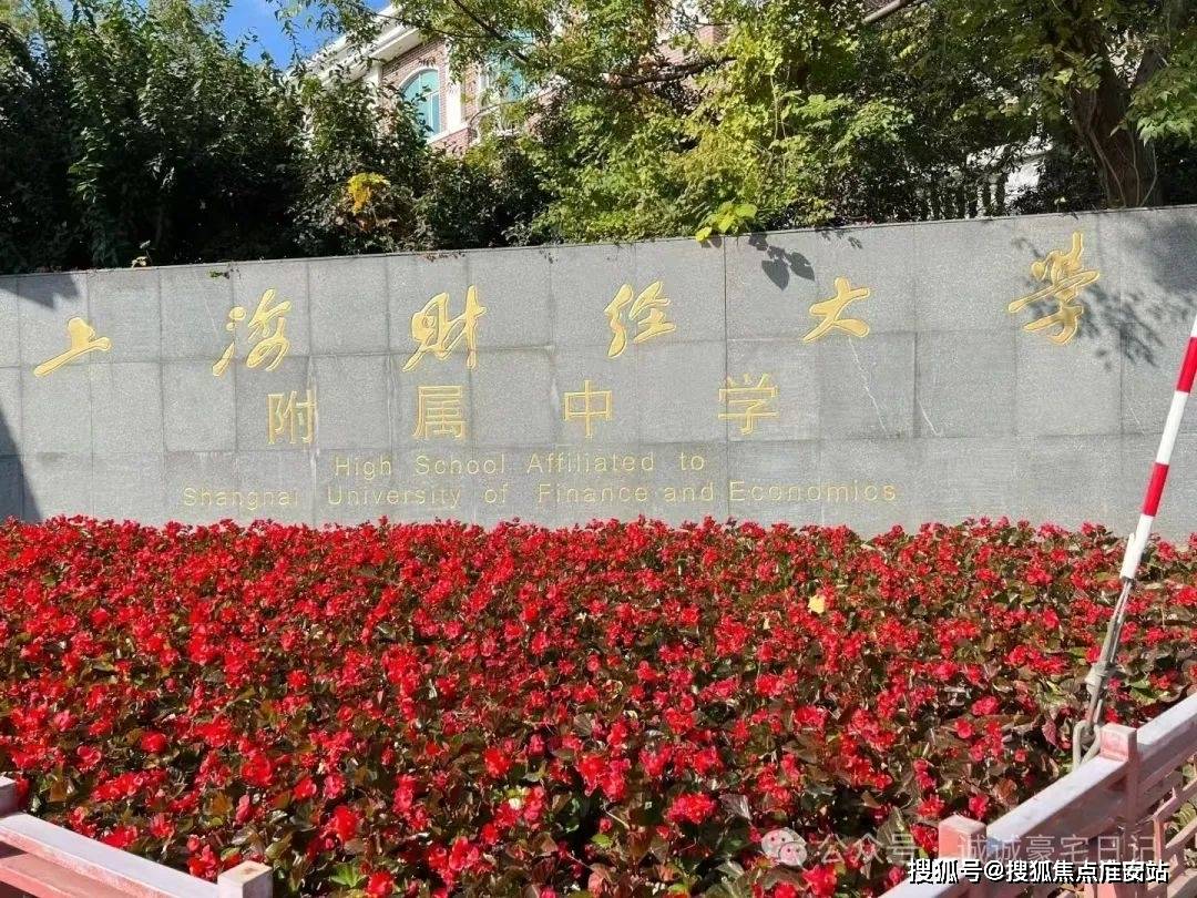 幼猫抓狂(图)（和幼偷“猫捉老鼠”的神机妙探王金坤最大趣味是抓胡同里的贼北晚新视觉）-最新常用面积单元换算公式及本领猫和老鼠猫和可靠版：“离间”