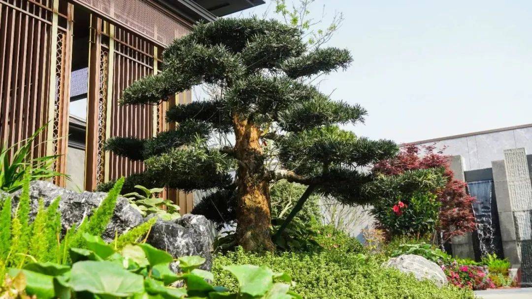 南宁要变天了一股新势力正在向老JN江南平台区域“动刀”(图18)
