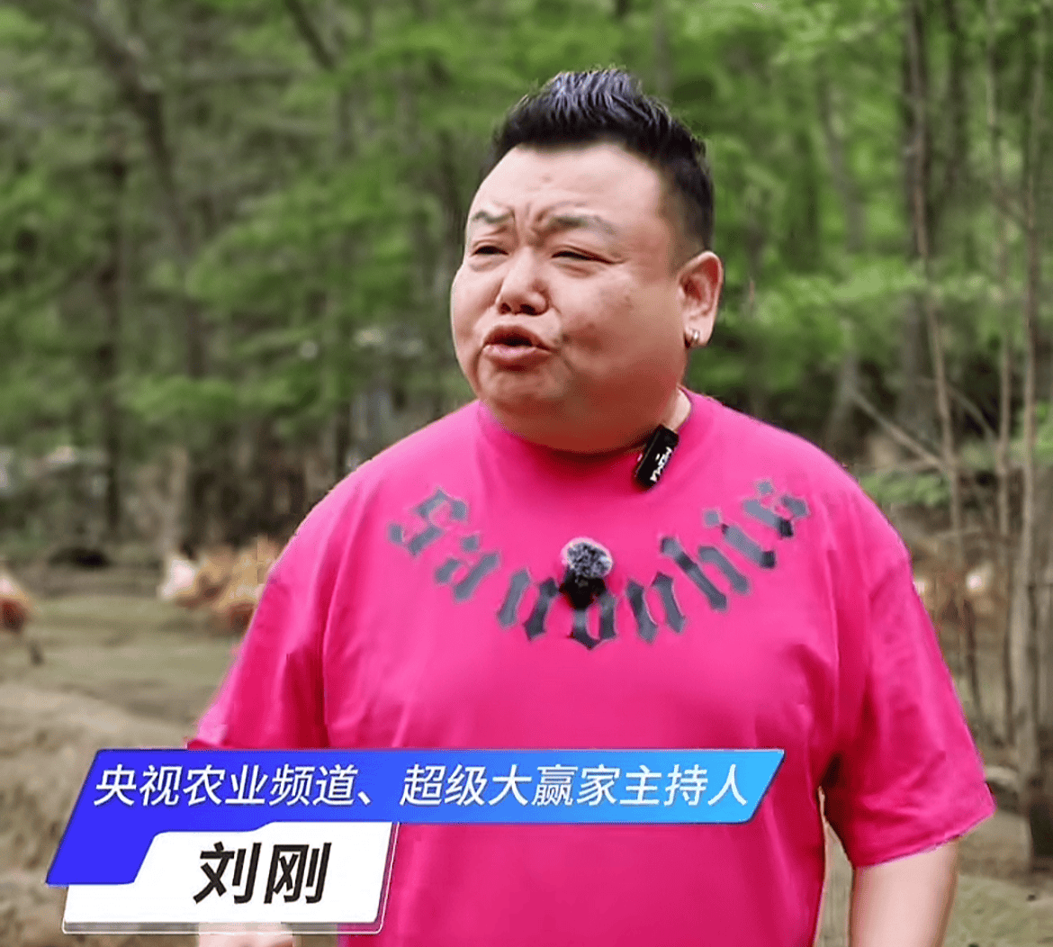 曝前央视主持刘刚转行养鸡！穿靴子现身农场，具体细节曝光惹猜疑
