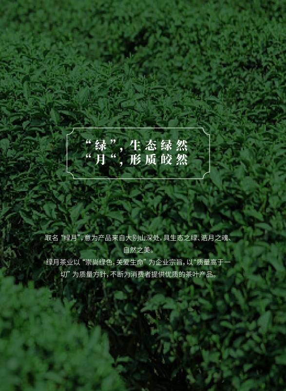 绿月茶业：PG电子下载茶之使命共享茶韵之美(图3)