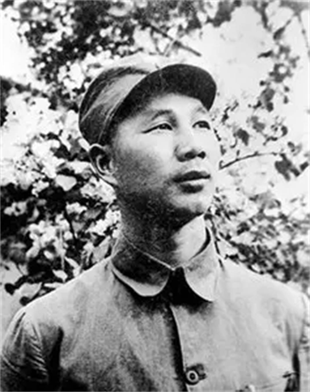 飞夺泸定桥时敌军为何只拆木板却不炸毁？多必一运动app年后杨成武说出缘由(图3)