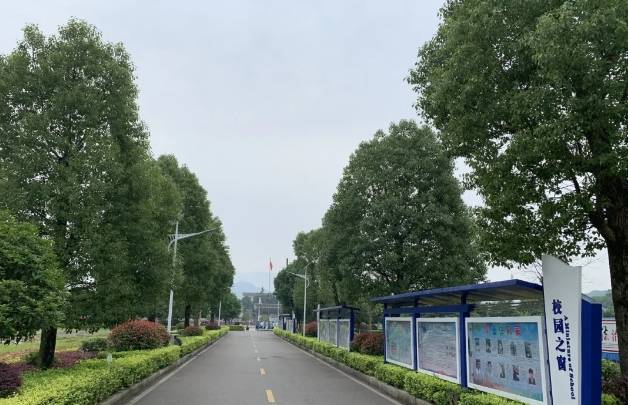 湖南省浏阳高级技工学校教学2025年最佳加密货币赌场排行榜 USDT & BTC支持模式是怎么样的？