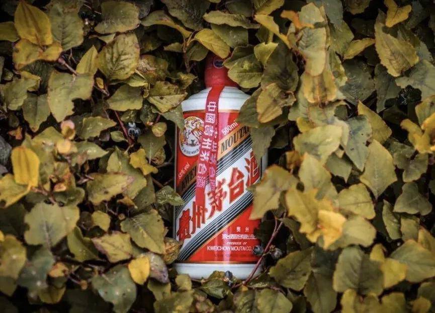 飞天茅台，价格崩了