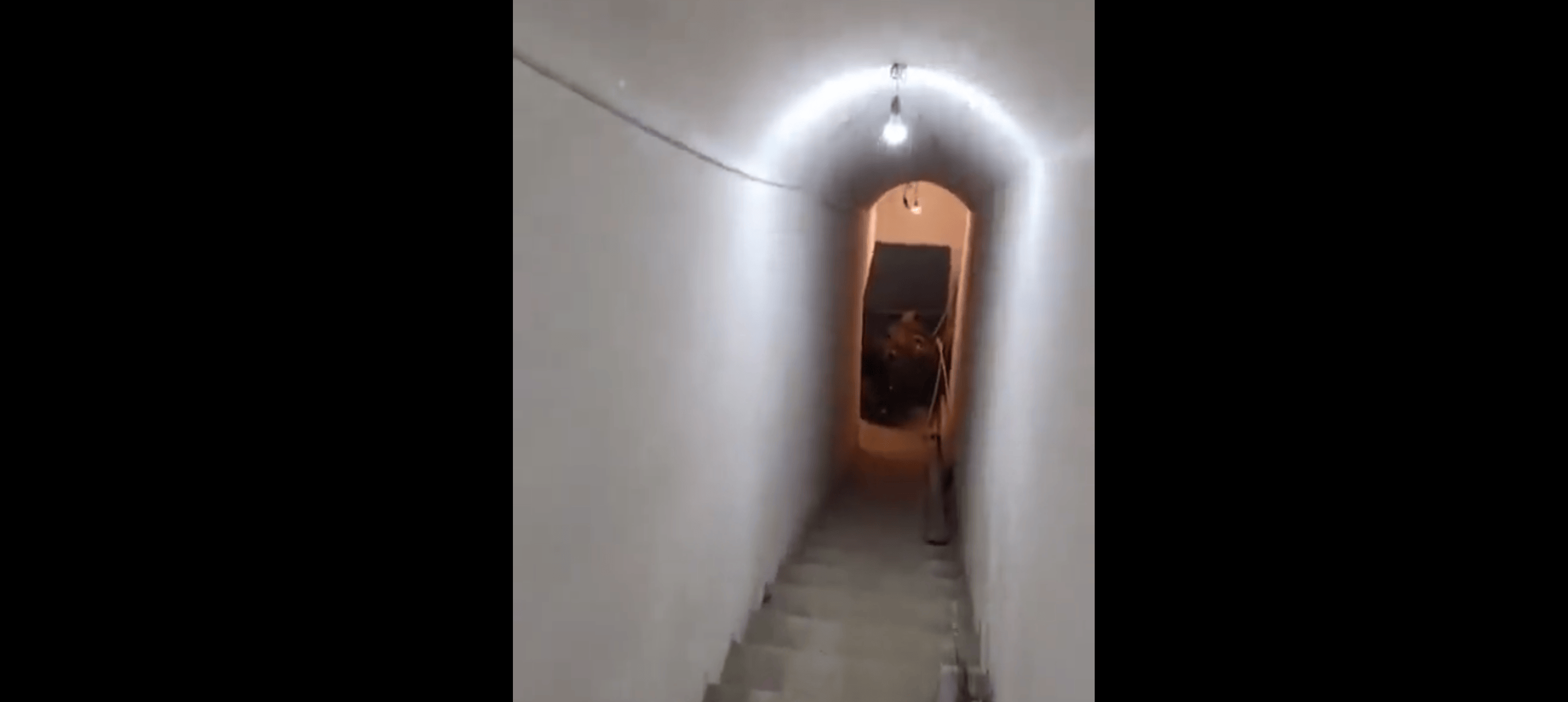 伊朗终于被彻底打醒！全国上下抓间谍，以色列摩萨德也豁出去了