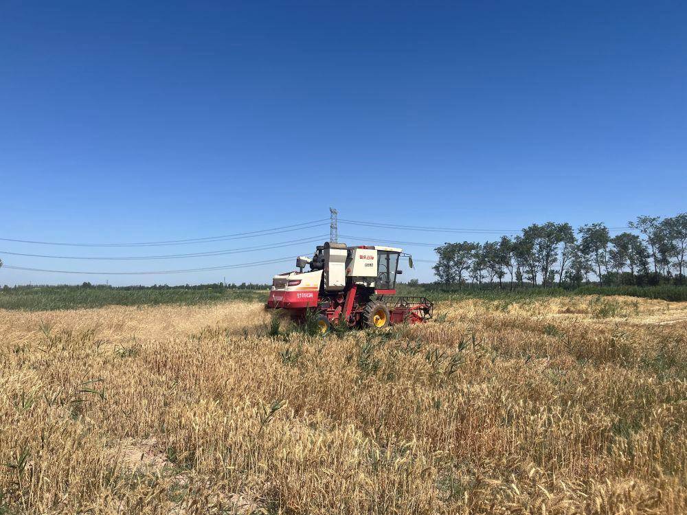 哈登24投21分:时政微观察丨牢牢守住耕地保护红线，总书记念兹在兹