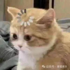 共同抚养5个孩子的九年爱情长跑终于结局？他俩这事可算是定下了！