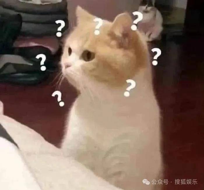 共同抚养5个孩子的九年爱情长跑终于结局？他俩这事可算是定下了！