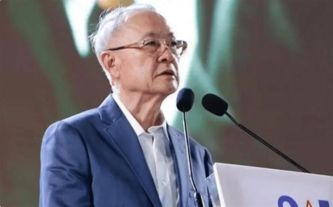 佩通坦，判了！泰国新总理将可能是年长一倍的他！