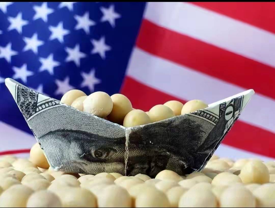 中国大豆进口数据公布，巴西躺赢！特朗普坐不住了，有求于华很快面谈