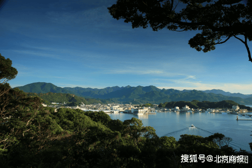 华体会- 华体会体育官网- 体育APP下载旅游AI正在从“有用”变成“好用”