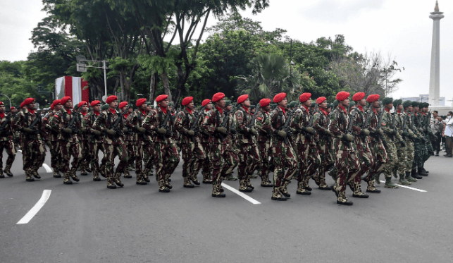 印尼2万大军将出兵加沙，要用中国武器打败以色列，中东才能破局