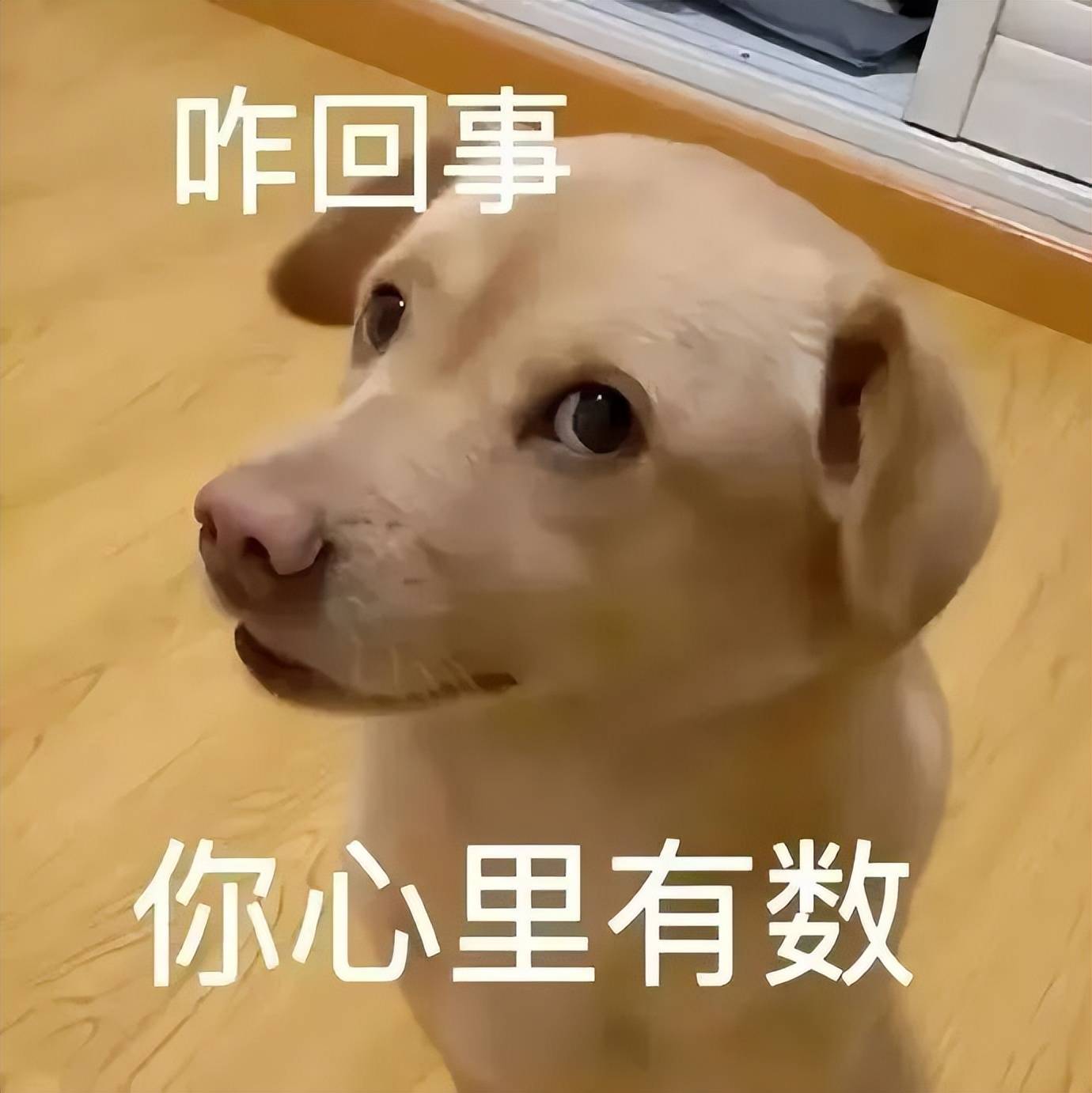 原创             广告被偷偷加长，平台正在悄悄偷走用户时间