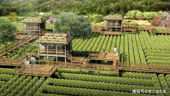 如何打造成功的农文旅项目?推荐这家专业农文旅规划设计公司