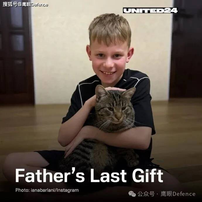 前线的动物们：俄博主称道马匹的好处，乌军心爱的猫猫和浣熊们