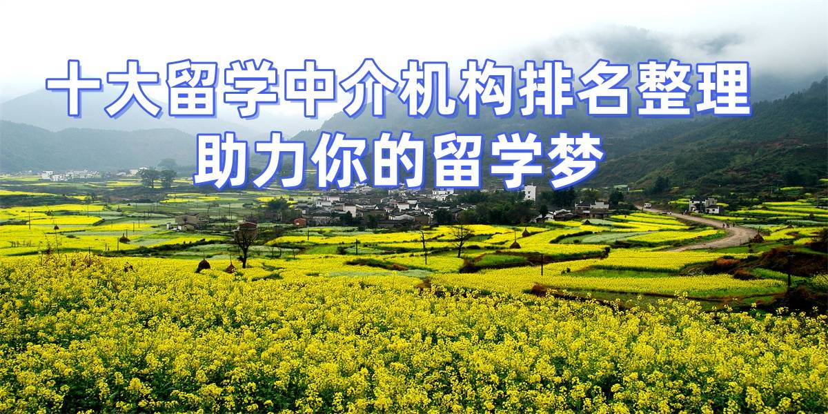 出国留学中介排乐鱼体育- 乐鱼体育官网- APP世界杯指定平台名名单