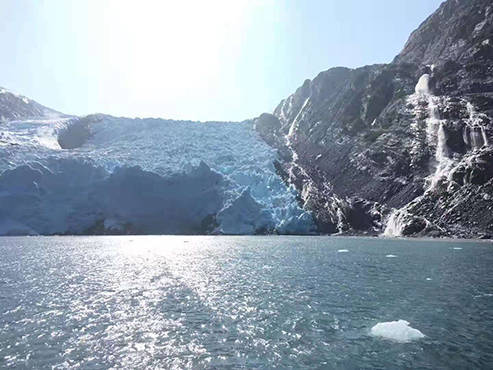 2025海口 十强 赴美留学中介机构“红黑”指南乐鱼体育- 乐鱼体育官网- APP世界杯指定平台