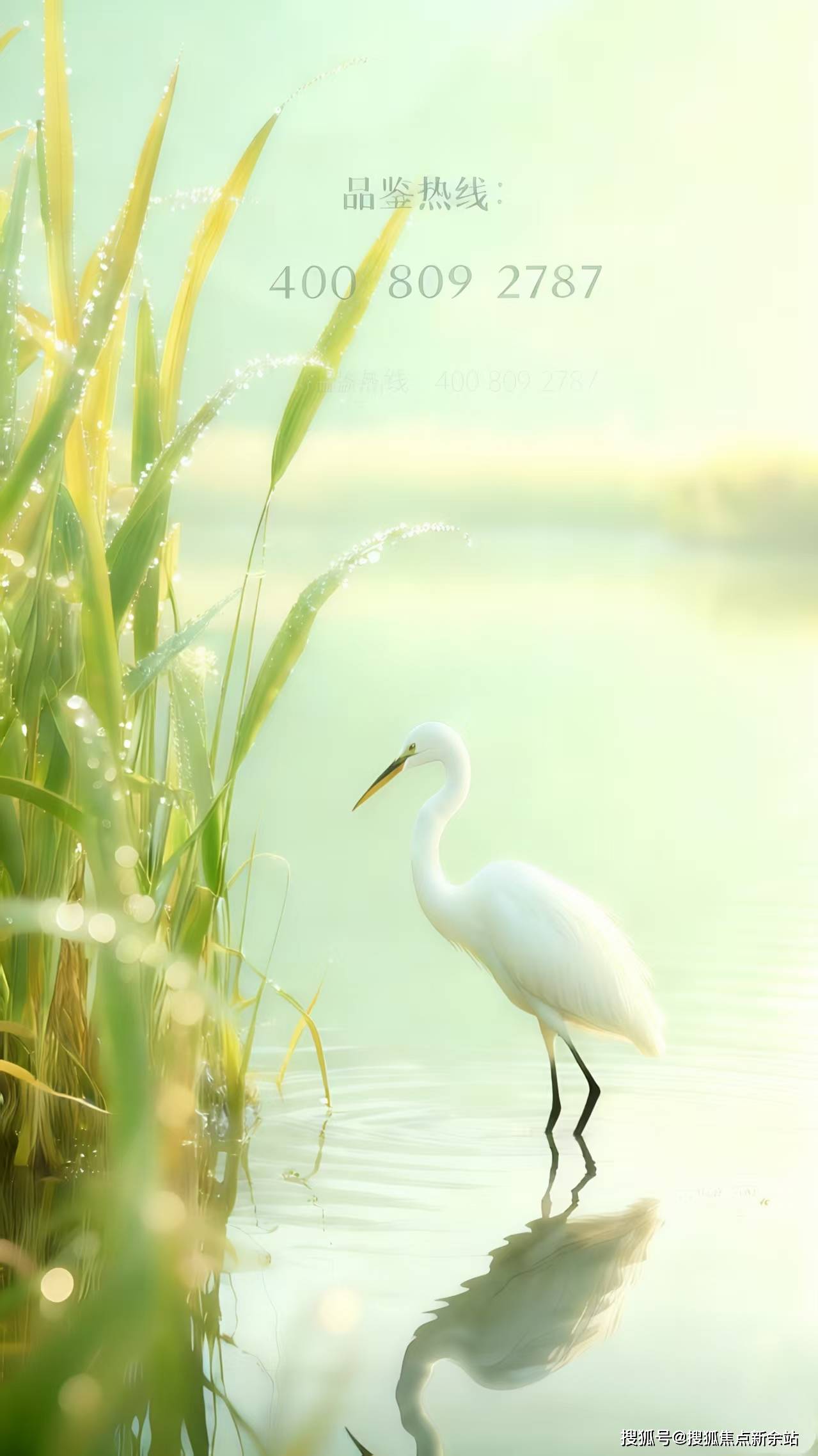 中国·必威万丰海岸城瀚府售楼处(深圳万丰海岸城瀚府)首页网站-营销中心欢迎您-楼盘详情·最新价格-户型图-容积率@20251019售楼处Ai✦热搜