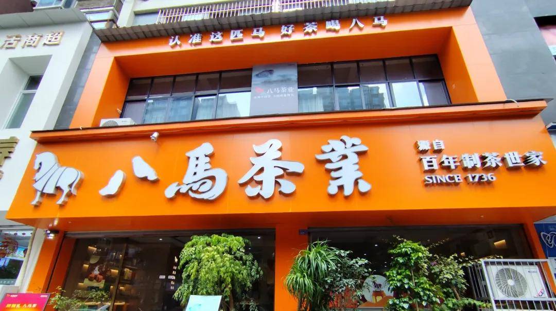 八马茶业上市:市值72亿 王文彬家族与安踏七匹狼等泉州富豪圈联姻