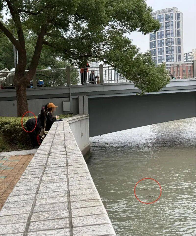 事发苏州河！又有人干这事，画面引人不适！上海明确禁止，危害极大，严重可追究刑责