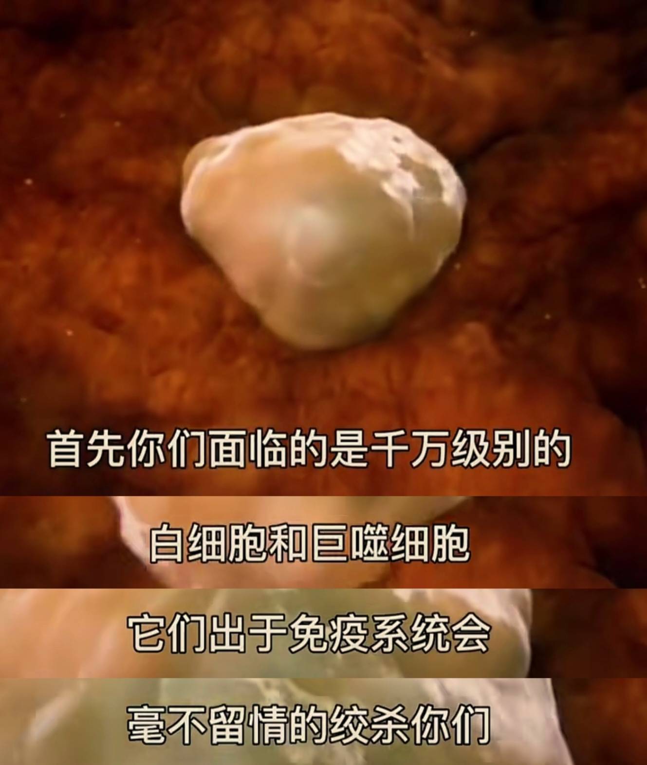 女人体内没有受精的精子去哪里了?身体这样悄悄处理