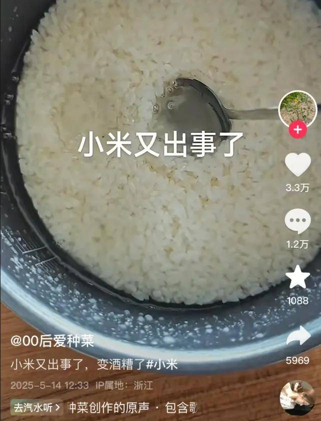 原创             开头一句军儿数月涨粉几十万，阴阳小米雷军成了起号新赛道……