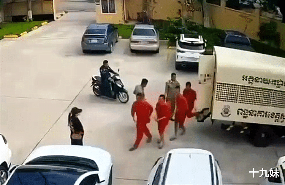 最美大嫂劫囚后续，柬埔寨警方披露调查细节，她根本不是什么孤胆英雄