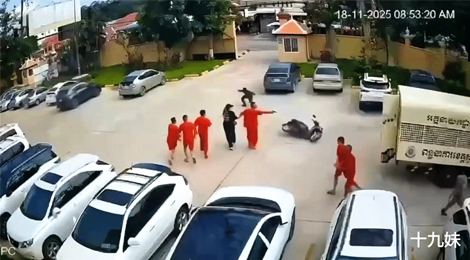 最美大嫂劫囚后续，柬埔寨警方披露调查细节，她根本不是什么孤胆英雄