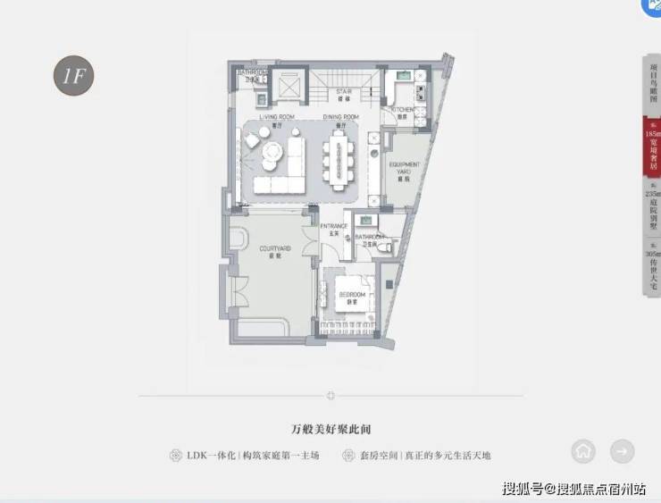 文章配图-7