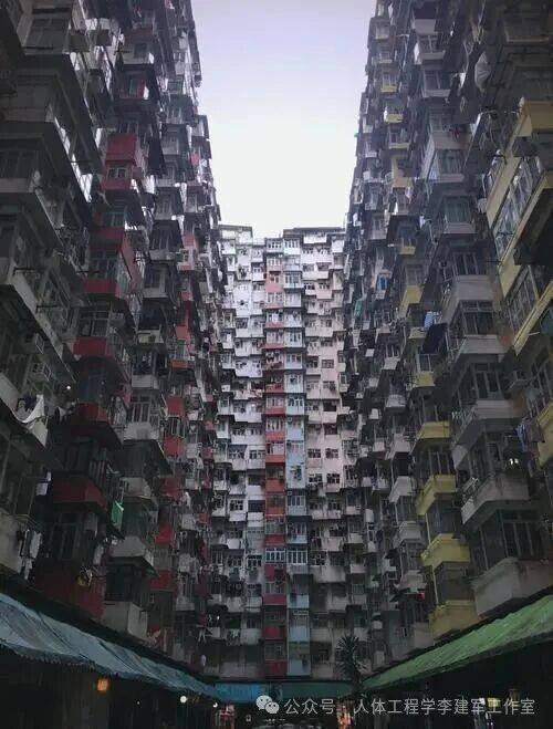 文章配图-2