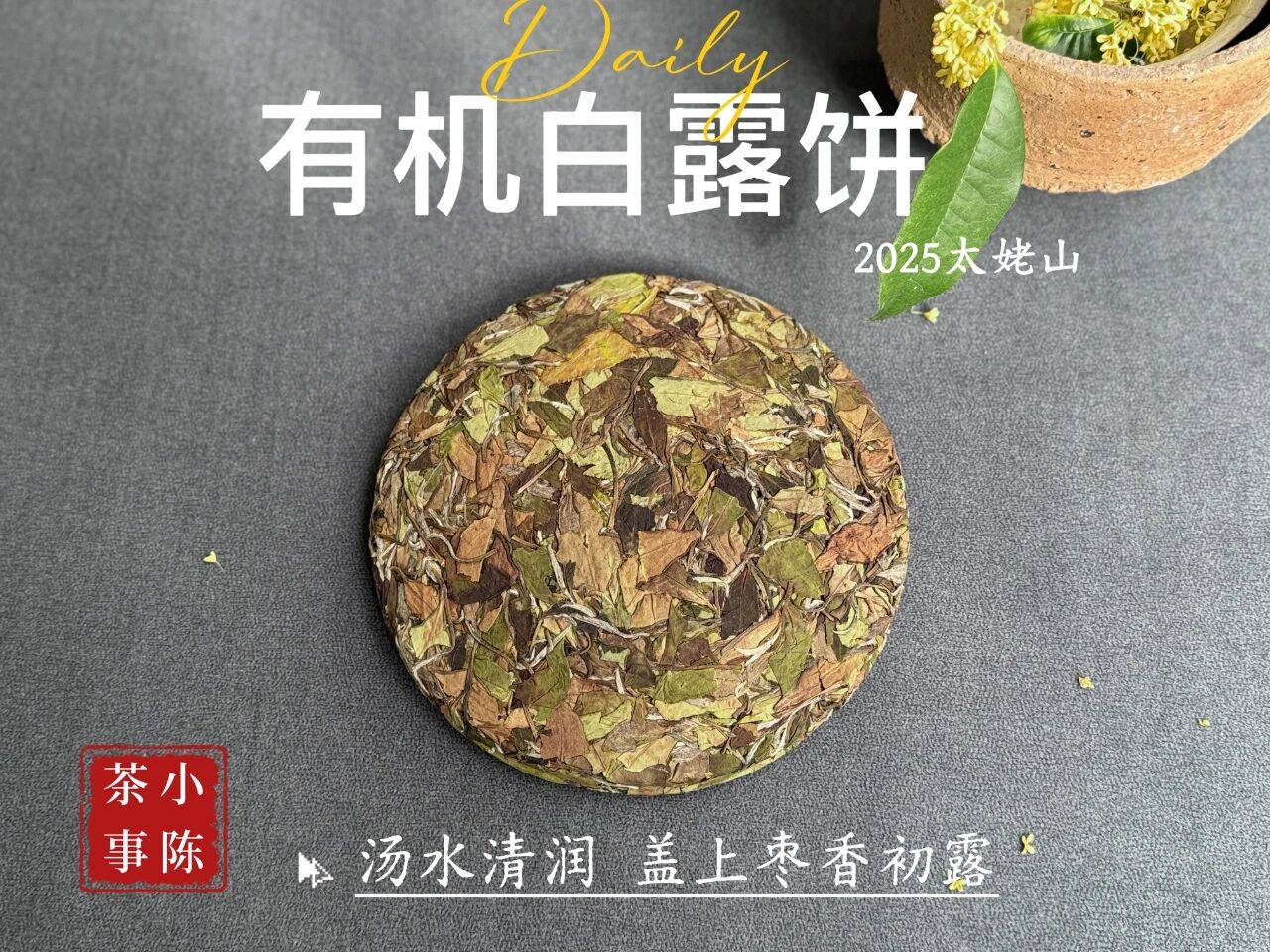 文章配图-4