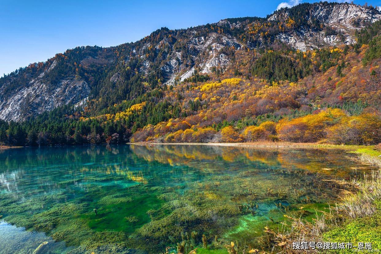 Binance Casino - 领先的