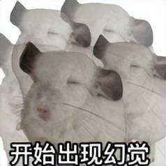 原创             憋大招？小米，也要出三折叠了！