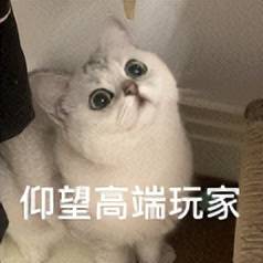 原创             憋大招？小米，也要出三折叠了！