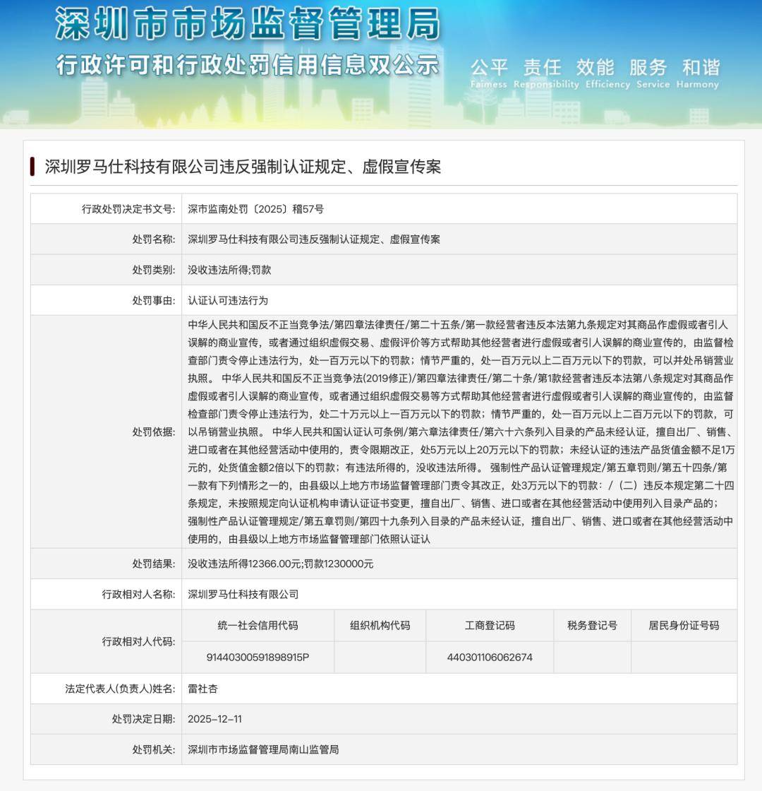 原创             召回近50万台充电宝后，罗马仕领百万“罚单”