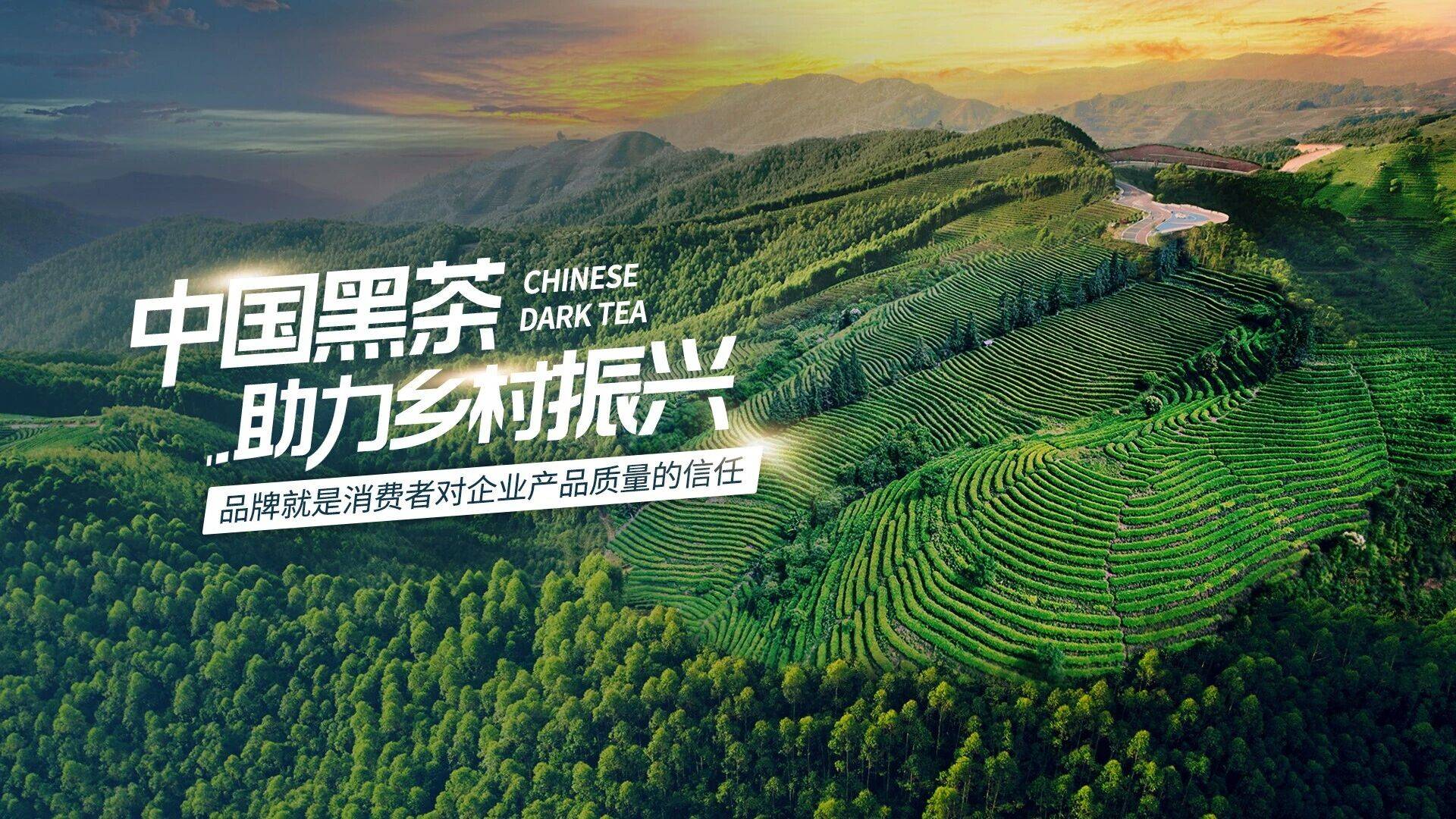 华体会- 华体会体育官网- 体育APP下载理想华莱双面解码：纳税 20 亿的荣光与层级计酬的风险