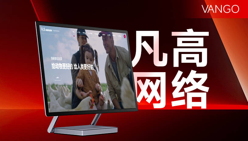 小火箭DN S服务器