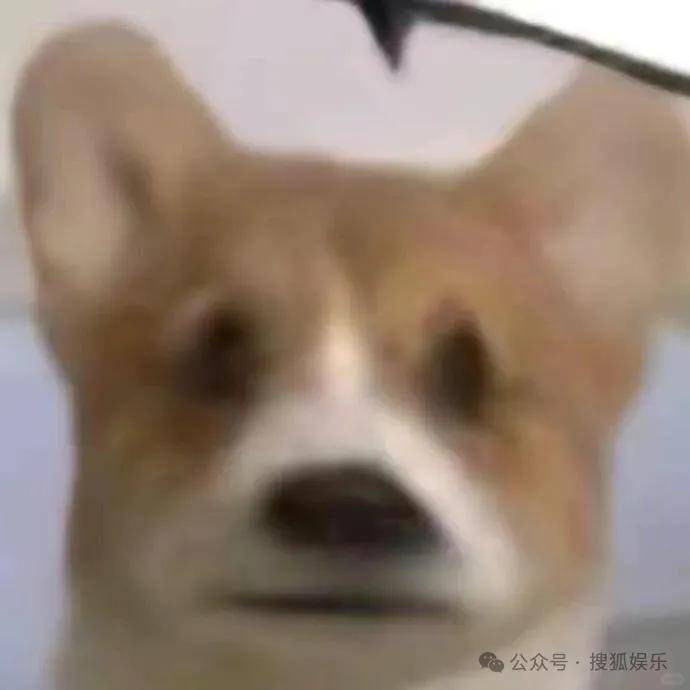 都退居幕后了还要被审判近照状态？他的转型真的还蛮彻底的......