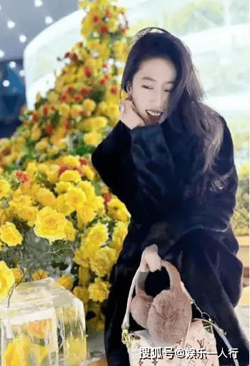 刘亦菲带65岁妈妈回哈尔滨被拍!65岁妈妈冻龄似少女,两人同框像姐妹,网友:这基因我服了