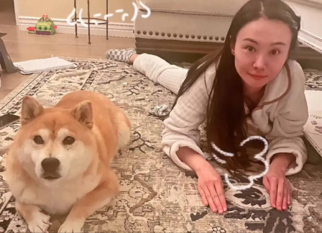 35岁郑爽现状曝光:脸又肿又僵没了灵气,养狗为伴生存成难题