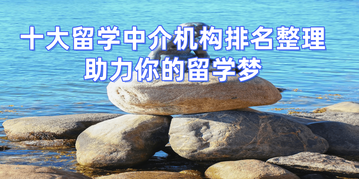 乐鱼体育- 乐鱼体育官网- APP世界杯指定平台武汉2026年度口碑十大出国留学机构排行一览