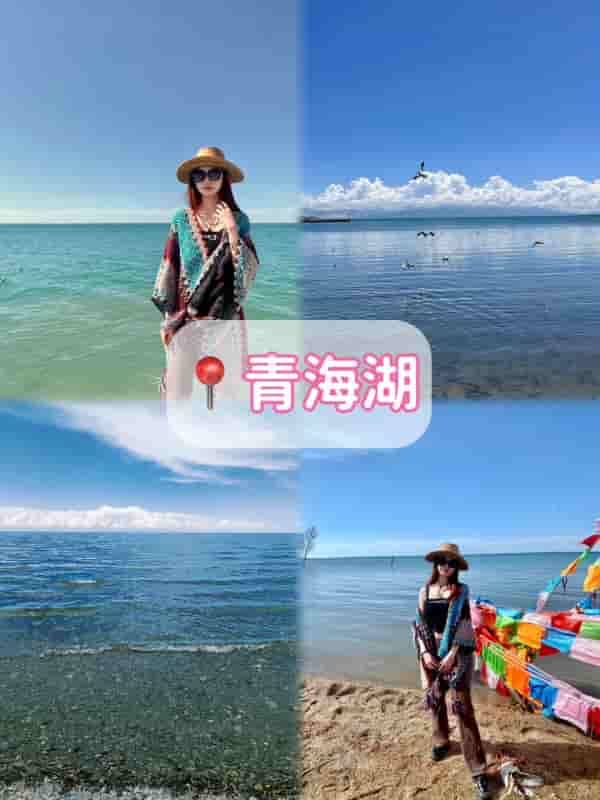 雷速体育- 雷速体育app下载- 足球篮球专业直播平台青海靠谱旅行社推荐名单合集