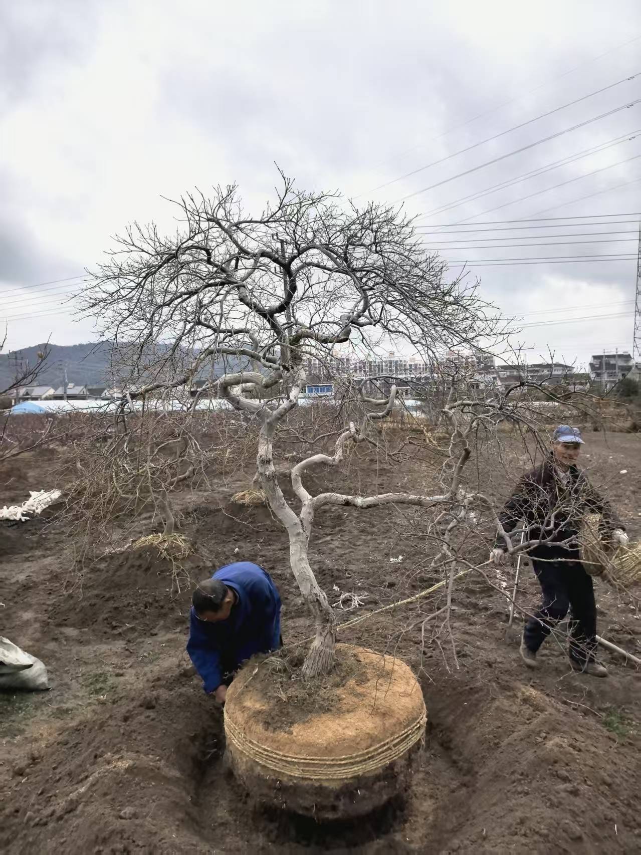 文章配图-3