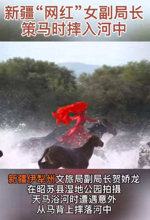 47岁贺娇龙去世，同学发声：遗体已运回老家，安葬在父亲墓地旁