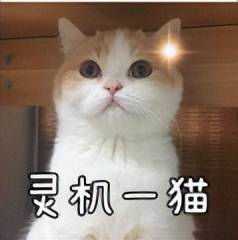 曾全网爆火卖断货,被炒到 3 万高价!更强的 “ 豆包手机 ” 2 代来了