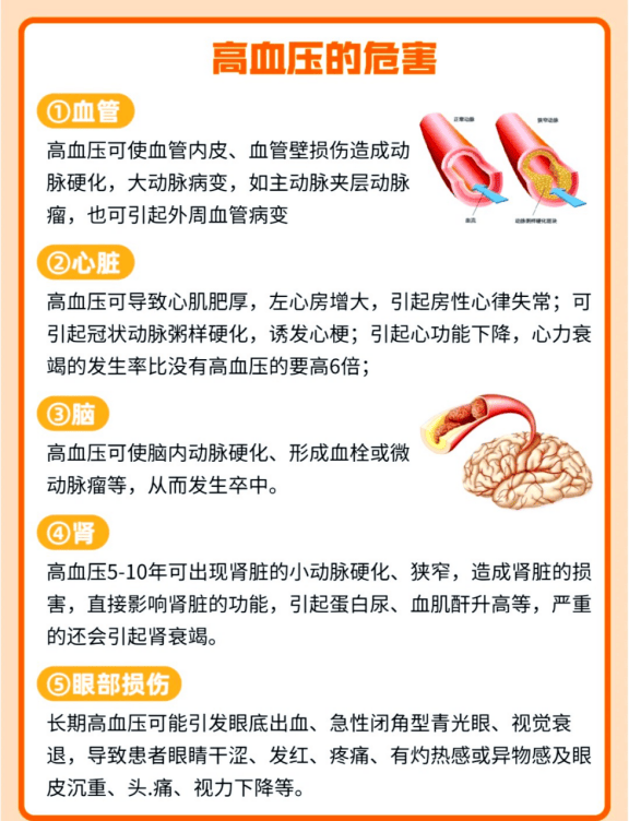 电子血压计哪款是性价比之王？十大排名高性平博体育- 平博体育官方网站- APP下载价比款品牌推荐
