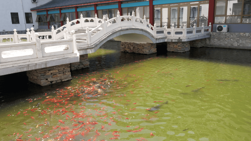 爱游戏- AYX爱游戏体育官方网站- 体育APP北京专业失能