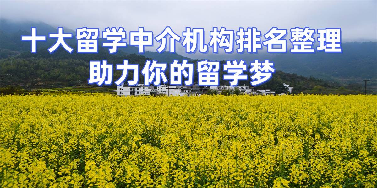 2026年济南留学机构乐鱼体育- 乐鱼体育官网- APP世界杯指定平台推荐最好跨专业申请全面评估与建议